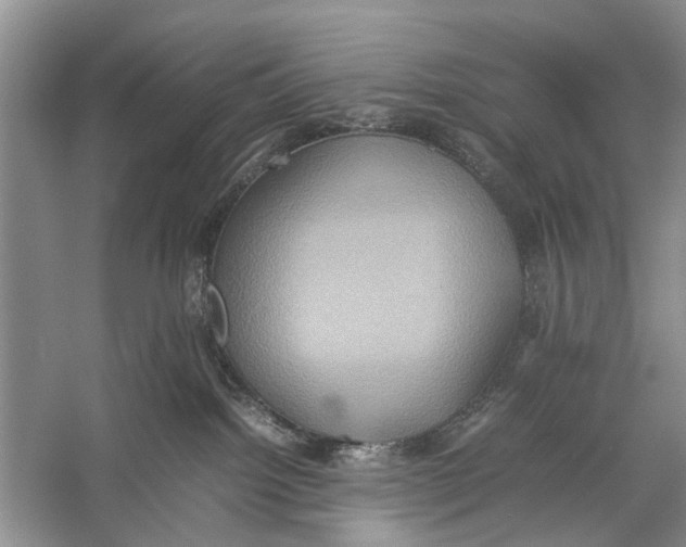 X0000057040092200510071417