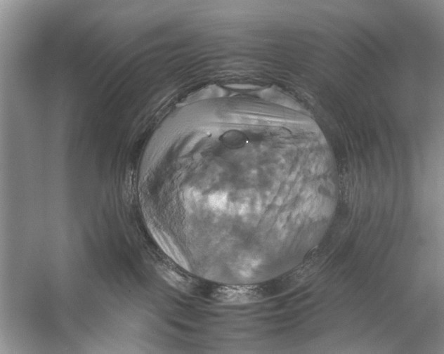 X0000057040093200510071417