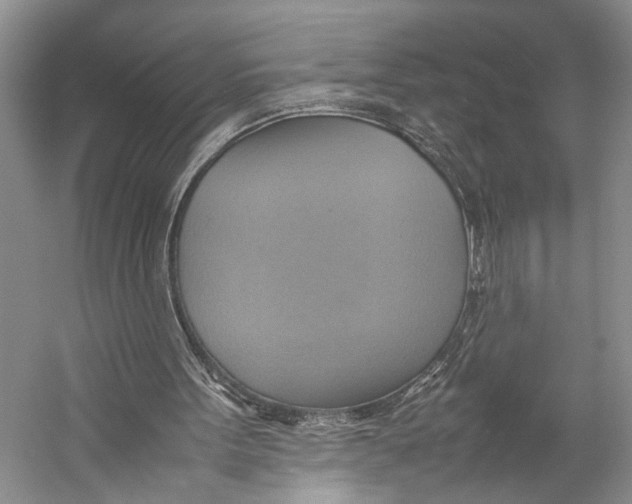 X0000057040099200510071416