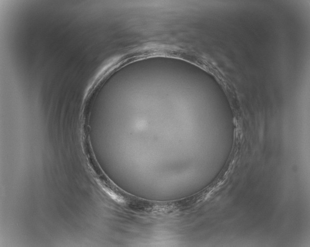 X0000057040101200510071416