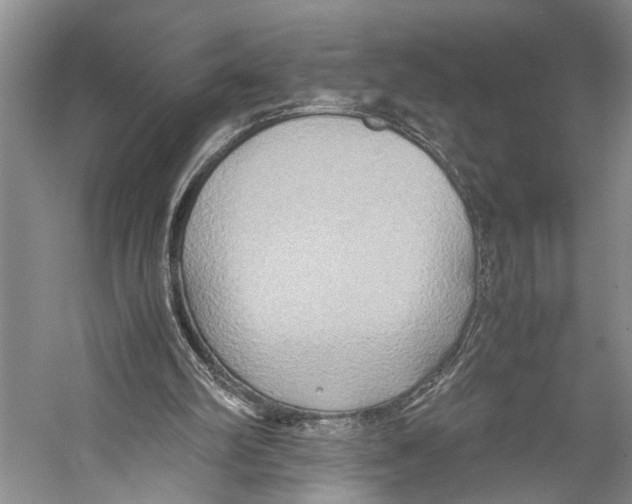 X0000057040102200510071416