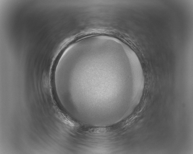 X0000057040104200510071416