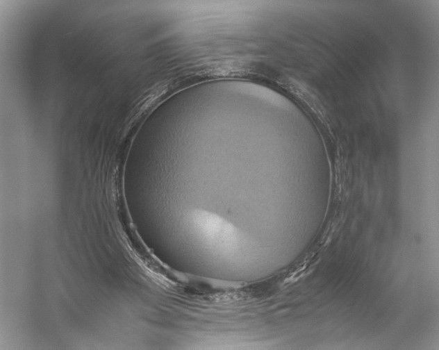 X0000057040105200510071416