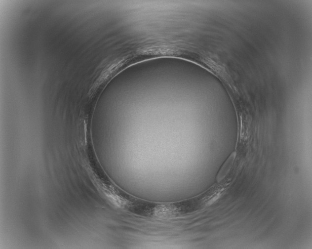X0000057040109200510071416