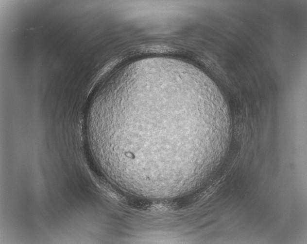 X0000057040111200510071416