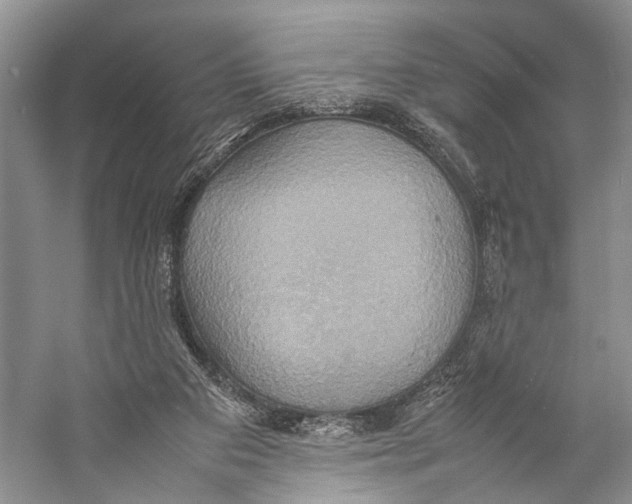 X0000057040113200510071416