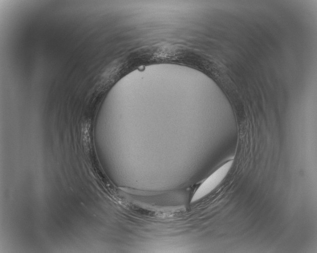 X0000057040127200510071415