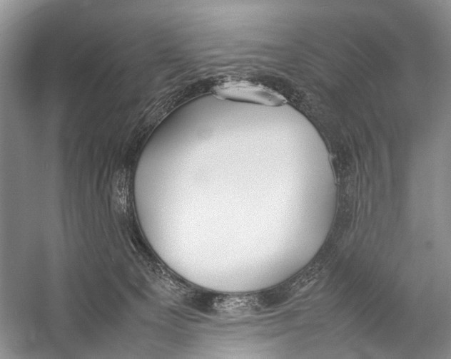 X0000057040129200510071415