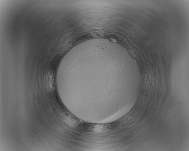 X0000057040130200510071415