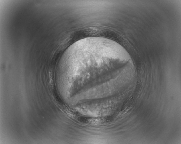 X0000057040131200510071415