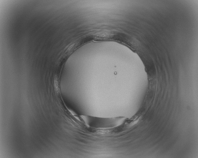 X0000057040143200510071415