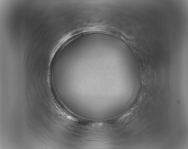 X0000057040152200510071414
