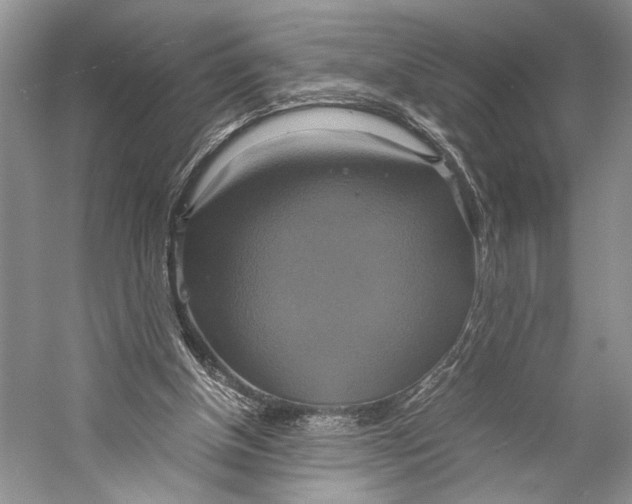 X0000057040154200510071414