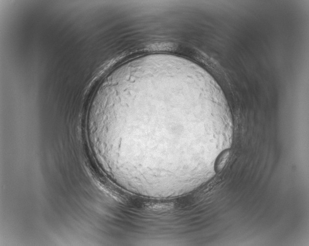 X0000057040155200510071414