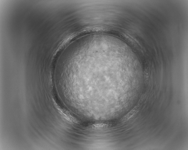X0000057040158200510071415