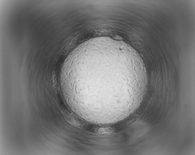 X0000057040173200510071415