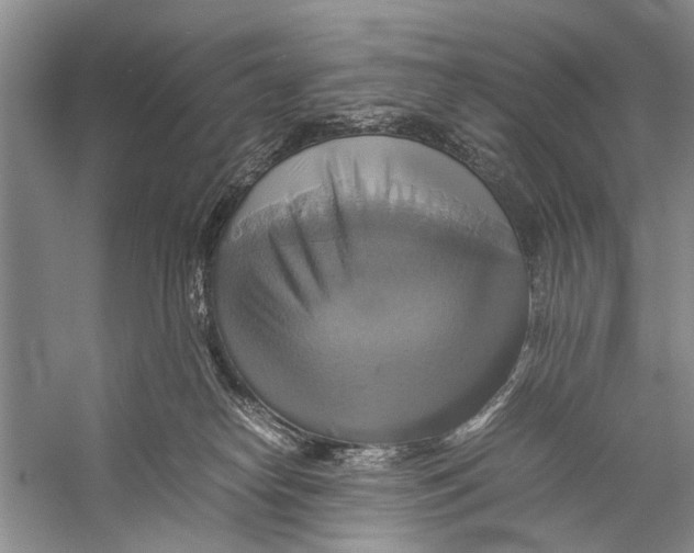 X0000057040182200510071415