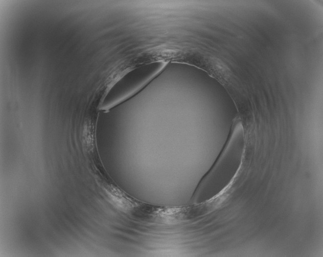 X0000057040186200510071415