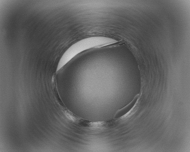 X0000057040192200510071415