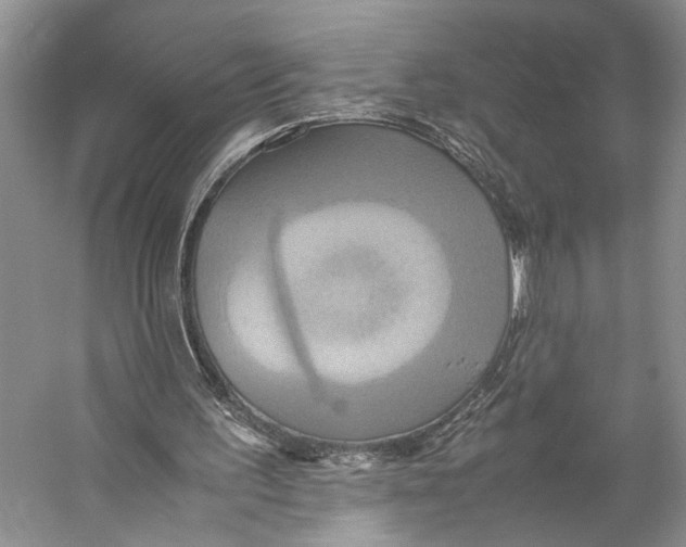 X0000057040195200510071414
