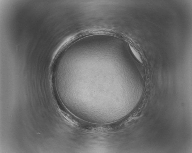 X0000057040197200510071414