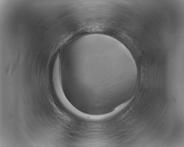 X0000057040202200510071414