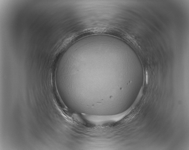 X0000057040205200510071414