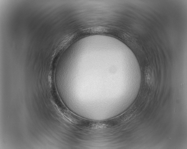 X0000057040206200510071414