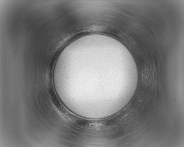 X0000057040208200510071414