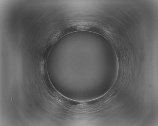 X0000057040219200510071414