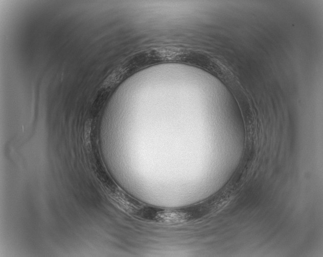 X0000057040221200510071414