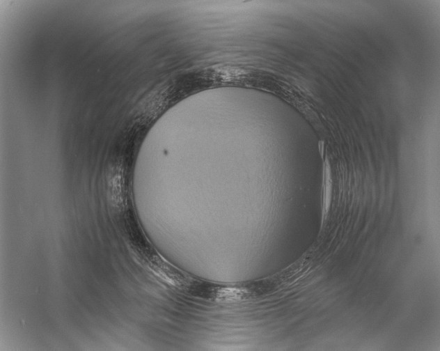 X0000057040222200510071414