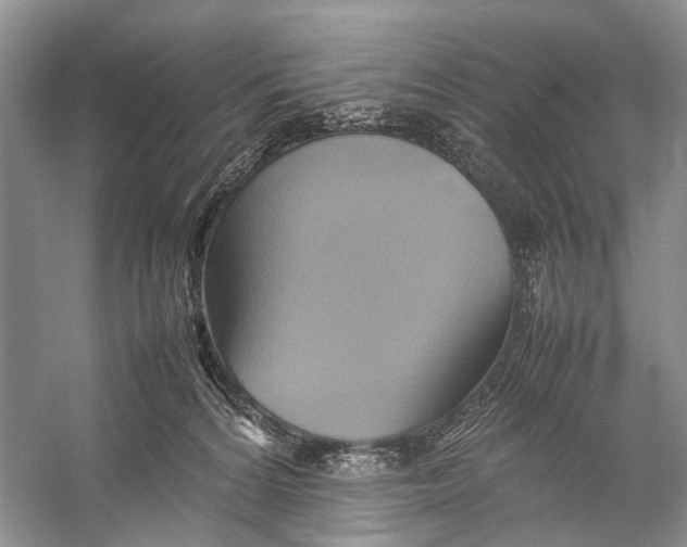 X0000057040224200510071414