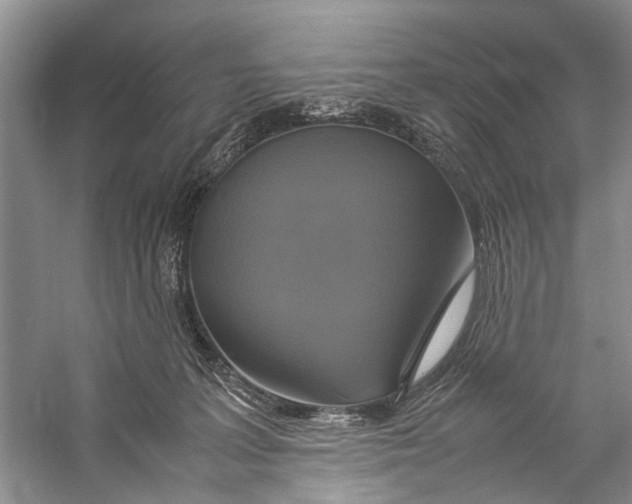 X0000057040227200510071414