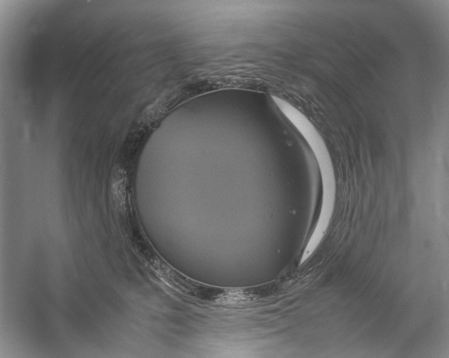 X0000057040231200510071414