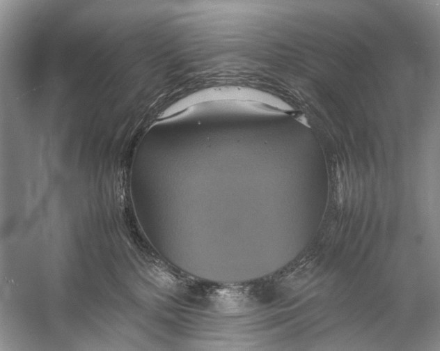X0000057040232200510071414