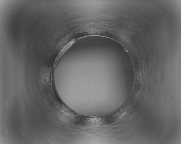 X0000057040233200510071414