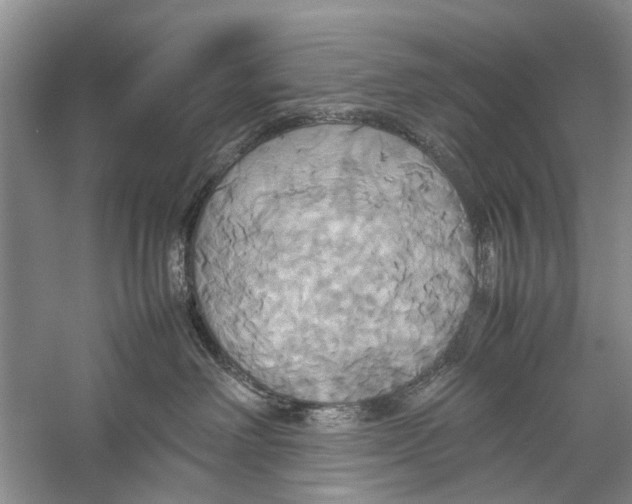 X0000057040238200510071414