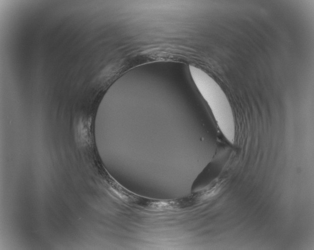 X0000057040239200510071413