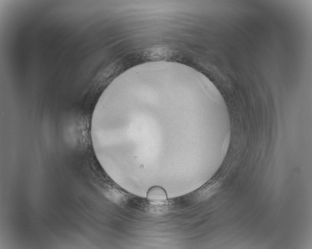 X0000057040240200510071413