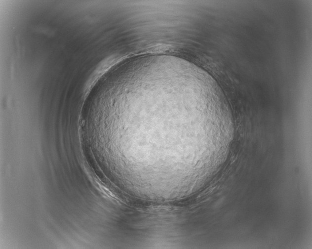 X0000057040242200510071413