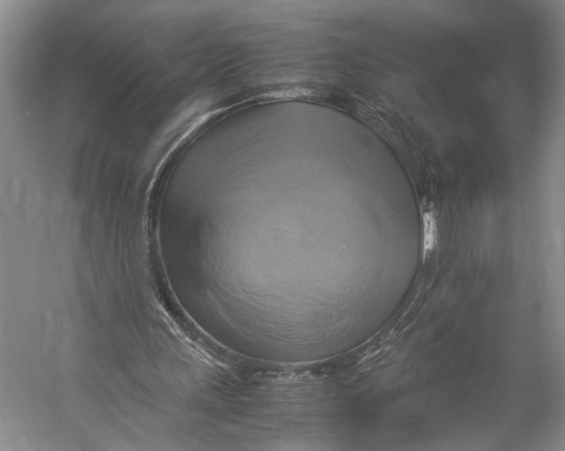 X0000057040243200510071413
