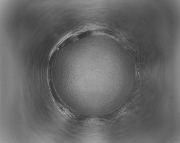 X0000057040244200510071413