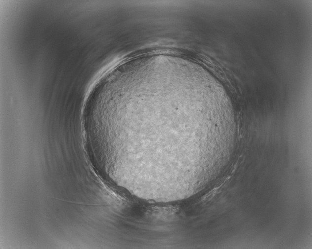 X0000057040245200510071413