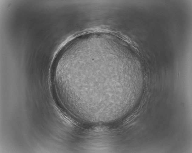 X0000057040248200510071413