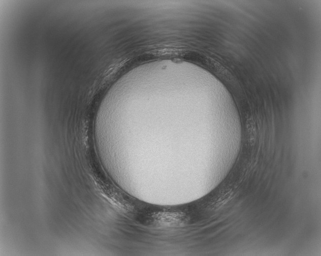 X0000057040255200510071413