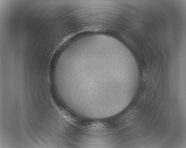 X0000057040256200510071413