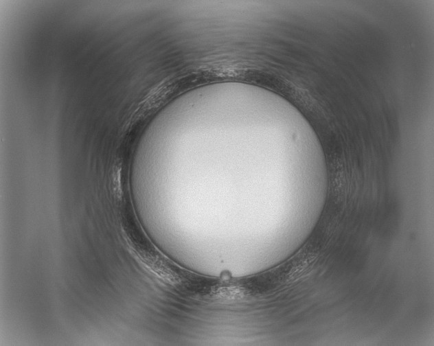 X0000057040262200510071413