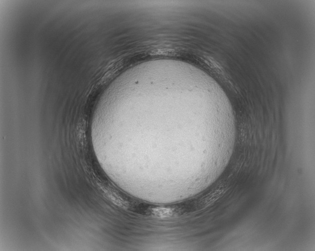 X0000057040265200510071413