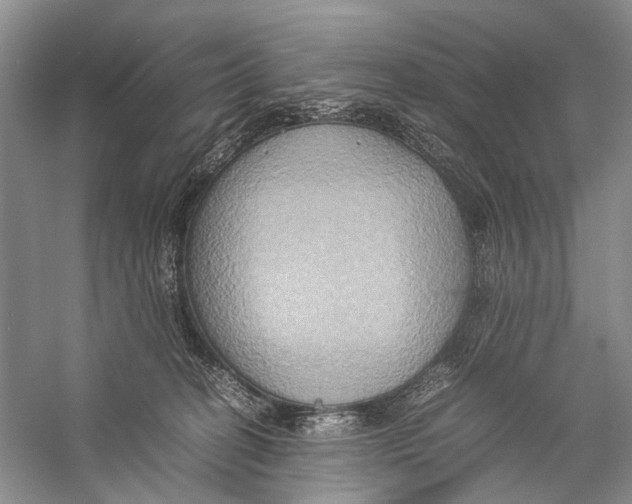 X0000057040274200510071413